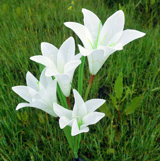 🌷 AuroraGlow™ Solcellsdriven Tulpan Blomlampa