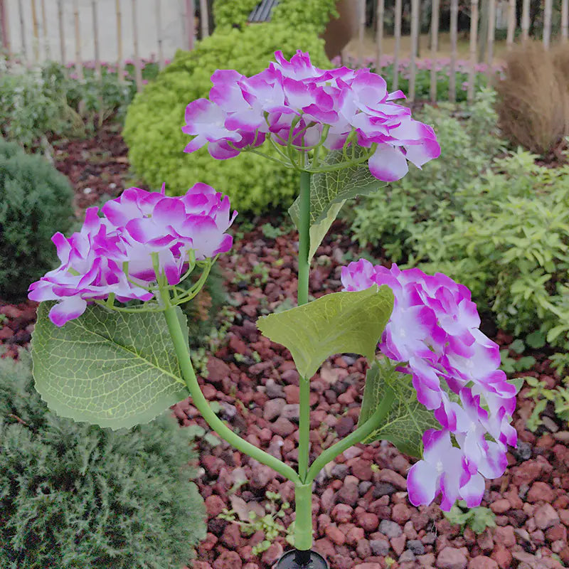 🌸 AuroraGlow™ Solcellsdriven Hortensia lampa